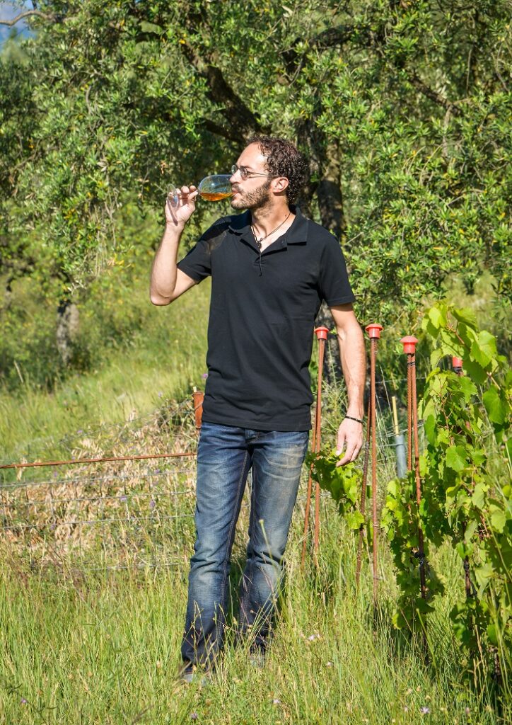 Toni Sànchez Ortiz: 